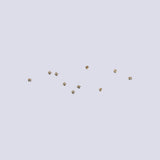 Epee Screws (pack of 10) - Prieur USA